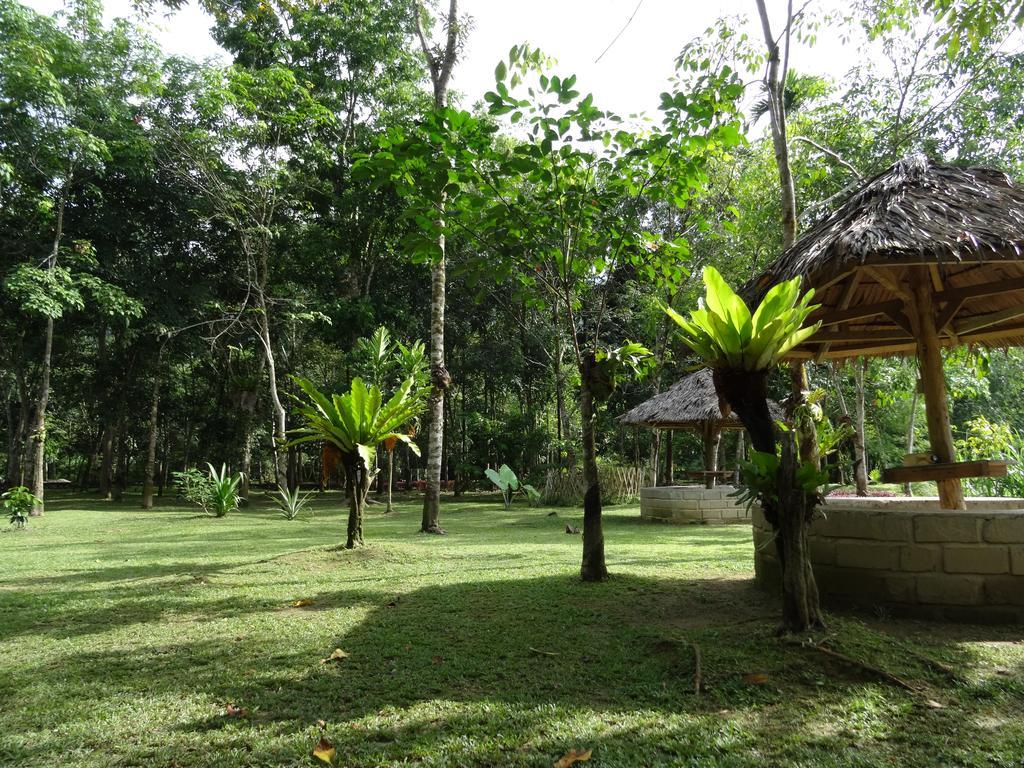 Batu Kapal Guest House & Jungle Trekking Bukit Lawang Exterior foto