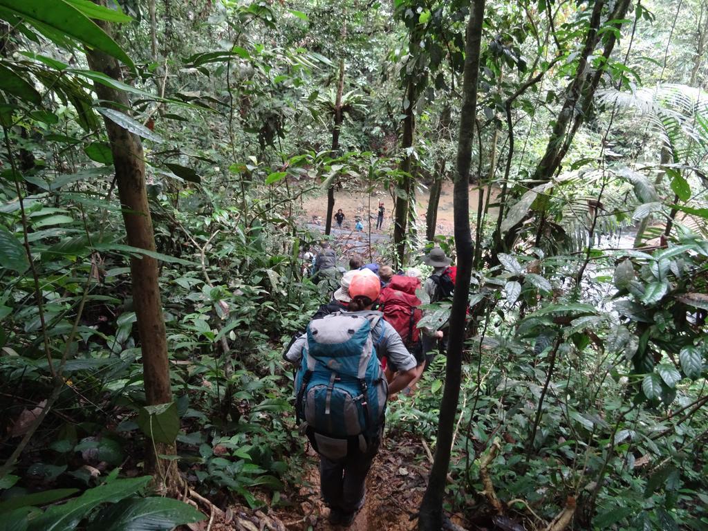 Batu Kapal Guest House & Jungle Trekking Bukit Lawang Exterior foto