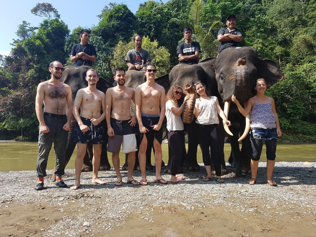 Batu Kapal Guest House & Jungle Trekking Bukit Lawang Exterior foto