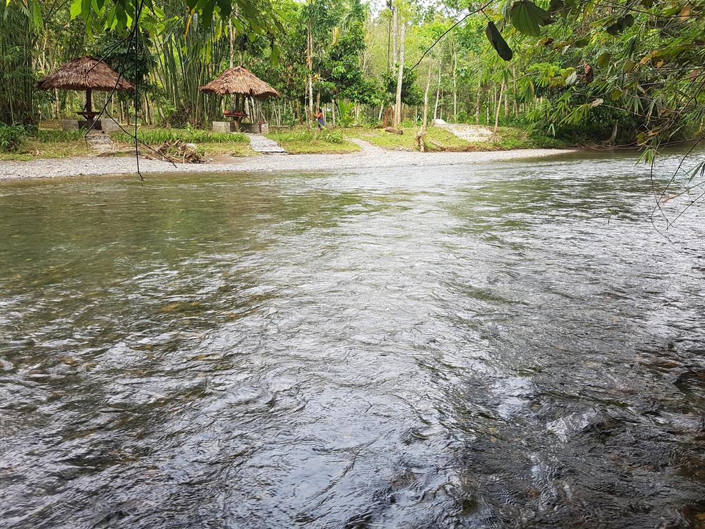 Batu Kapal Guest House & Jungle Trekking Bukit Lawang Exterior foto